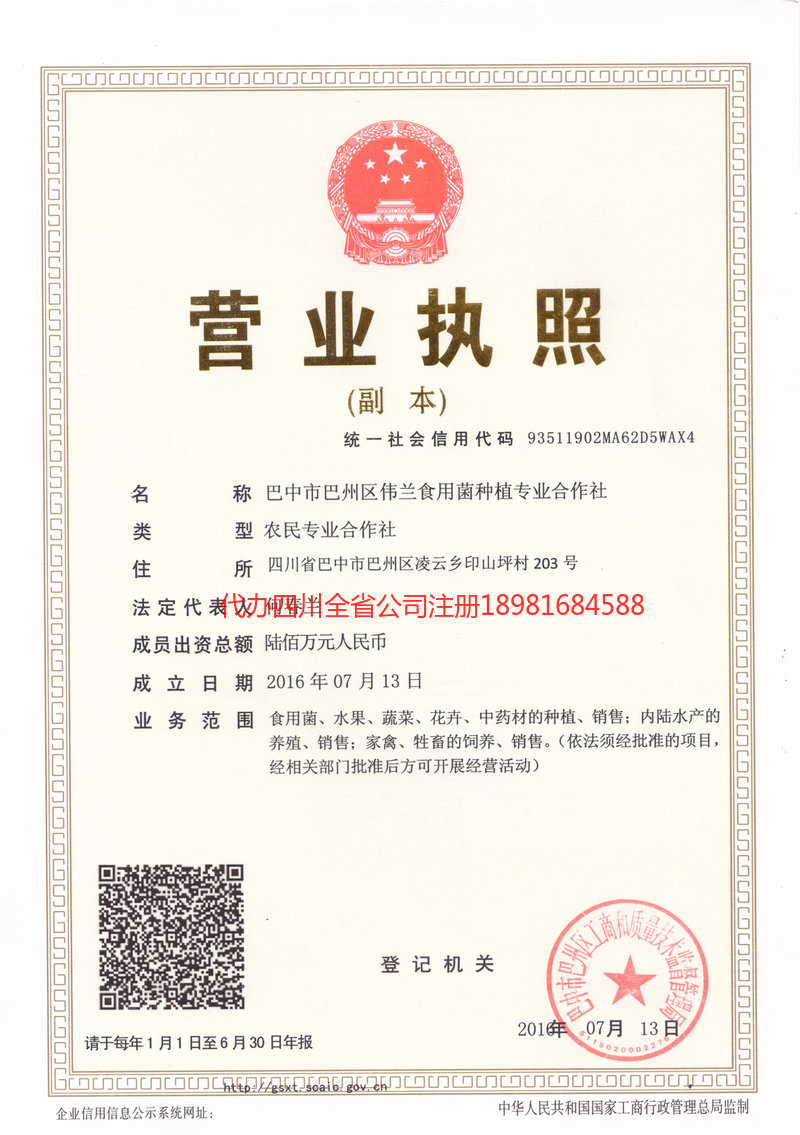 阳泉阳泉伟兰食用菌种植专业合作社